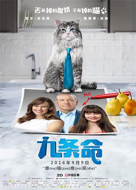 麻豆片