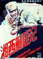 国产永久av