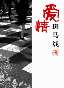 五月婷婷亚洲综合