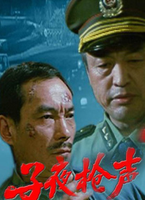 中文精品久久久久国产不卡